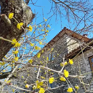 Gasthof Bujtina Tusha, Priska e Madhe
